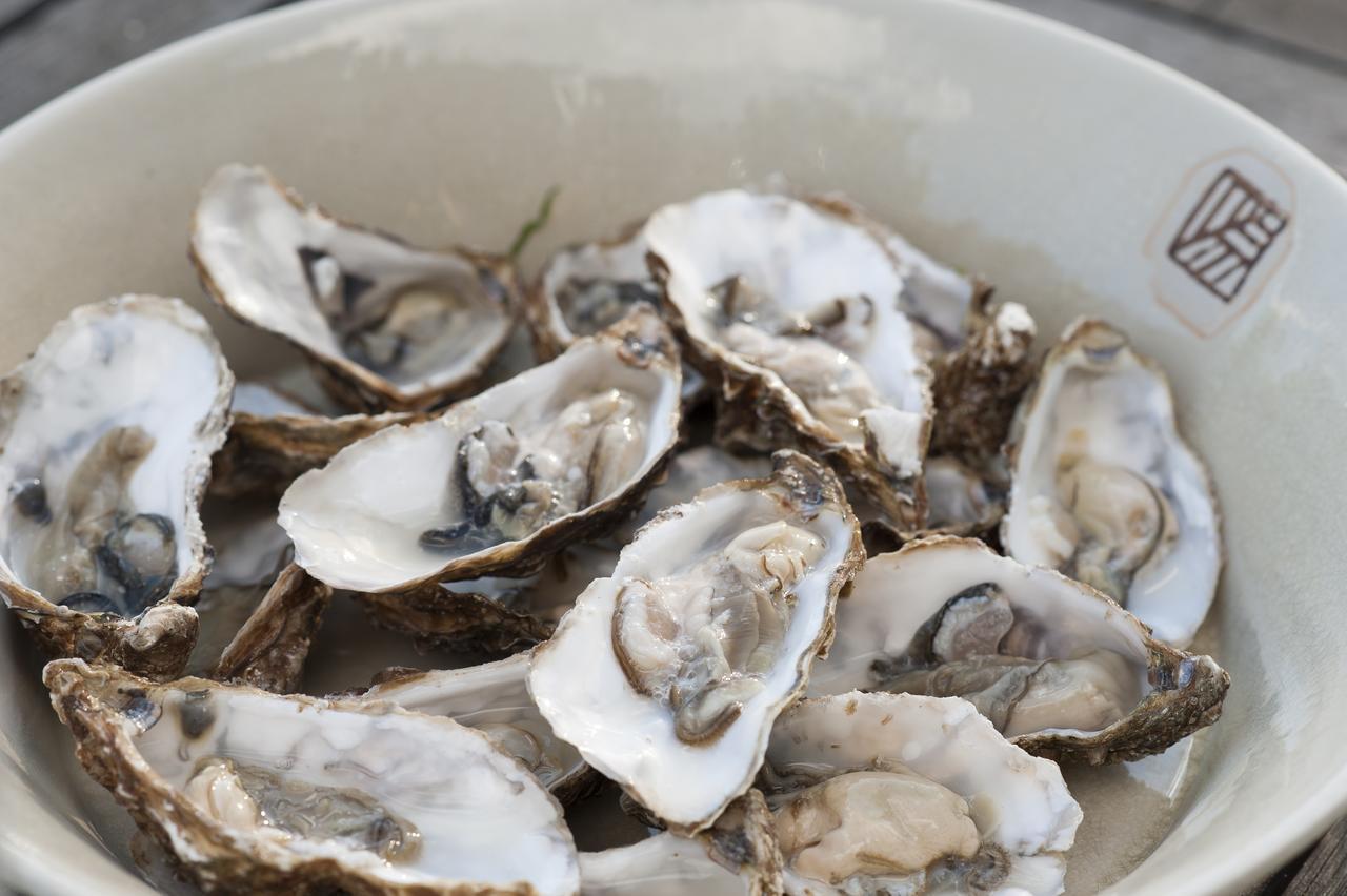 Chateau Le Colombier Brevands Eksteriør bilde